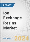 Ion Exchange Resins Market by Type (Cationic Resins, Anionic Resins), Application (Water, Non-Water), End-Use Industry (Power, Chemical & Petrochemical, Pharmaceutical, Food & Beverage), and Region - Global Forecast to 2025- Product Image