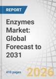 Enzymes Market: Global Forecast to 2031- Product Image