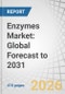 Enzymes Market: Global Forecast to 2031 - Product Thumbnail Image