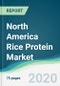 North America Rice Protein Market - Forecasts from 2020 to 2025 - Product Thumbnail Image