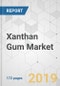 Xanthan Gum Market - Global Industry Analysis, Size, Share, Growth, Trends, and Forecast, 2019 - 2027 - Product Thumbnail Image