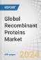 Global Recombinant Proteins Market by Product (Growth Factors, Chemokines, Structural Proteins, Membrane Proteins), Application (Drug Discovery & Development (Biologics, Vaccines, Cell & Gene Therapy), Research, Biopharma Production) & Region - Forecast to 2028 - Product Thumbnail Image