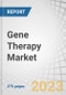 Gene Therapy Market by Type (Gene silencing, Gene augmentation), Vector (Viral (Retroviral, AAV), Non-viral (Oligonucleotide)), Therapeutic Area (Neurology, Oncology), Delivery Method (In-vivo, Ex-vivo), RoA (Intravenous) & Region - Global Forecast to 2028 - Product Image