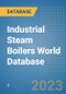 Industrial Steam Boilers World Database - Product Image
