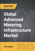 Advanced Metering Infrastructure (AMI) - Global Strategic Business Report- Product Image