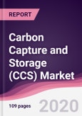 Carbon Capture and Storage (CCS) Market - Forecast (2020 - 2025)- Product Image