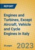 Engines and Turbines, Except Aircraft, Vehicle and Cycle Engines in Italy- Product Image