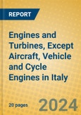 Engines and Turbines, Except Aircraft, Vehicle and Cycle Engines in Italy- Product Image