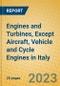 Engines and Turbines, except Aircraft, Vehicle and Cycle Engines in Italy - Product Image