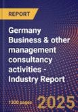 GERMANY Business & other management consultancy activities - Industry Report- Product Image