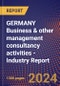GERMANY Business & other management consultancy activities - Industry Report - Product Thumbnail Image