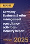 GERMANY Business & other management consultancy activities - Industry Report - Product Image