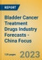 Bladder Cancer Treatment Drugs Industry Forecasts - China Focus - Product Image