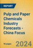 Pulp and Paper Chemicals Industry Forecasts - China Focus- Product Image