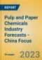 Pulp and Paper Chemicals Industry Forecasts - China Focus - Product Image