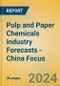 Pulp and Paper Chemicals Industry Forecasts - China Focus - Product Thumbnail Image