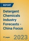 Detergent Chemicals Industry Forecasts - China Focus - Product Image