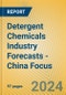 Detergent Chemicals Industry Forecasts - China Focus - Product Image