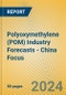 Polyoxymethylene (POM) Industry Forecasts - China Focus - Product Image
