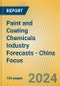Paint and Coating Chemicals Industry Forecasts - China Focus - Product Image