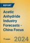 Acetic Anhydride Industry Forecasts - China Focus - Product Image