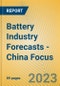 Battery Industry Forecasts - China Focus - Product Image