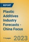 Plastic Additives Industry Forecasts - China Focus - Product Image
