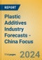 Plastic Additives Industry Forecasts - China Focus - Product Thumbnail Image