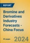 Bromine and Derivatives Industry Forecasts - China Focus - Product Thumbnail Image
