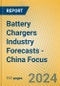 Battery Chargers Industry Forecasts - China Focus - Product Image
