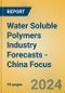 Water Soluble Polymers Industry Forecasts - China Focus - Product Image