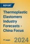 Thermoplastic Elastomers Industry Forecasts - China Focus - Product Image