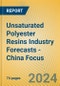 Unsaturated Polyester Resins Industry Forecasts - China Focus - Product Image
