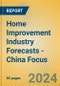 Home Improvement Industry Forecasts - China Focus - Product Image