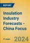 Insulation Industry Forecasts - China Focus - Product Image