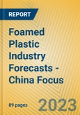 Foamed Plastic Industry Forecasts - China Focus- Product Image