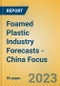 Foamed Plastic Industry Forecasts - China Focus - Product Image