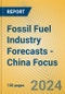 Fossil Fuel Industry Forecasts - China Focus - Product Image