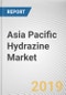 Asia Pacific Hydrazine Market - Opportunities and Forecasts, 2017 - 2023 - Product Thumbnail Image
