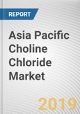 Asia Pacific Choline Chloride Market - Opportunities and Forecasts, 2017 - 2023- Product Image