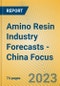 Amino Resin Industry Forecasts - China Focus - Product Image