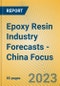 Epoxy Resin Industry Forecasts - China Focus - Product Image