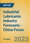 Industrial Lubricants Industry Forecasts - China Focus - Product Image