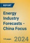 Energy Industry Forecasts - China Focus - Product Image
