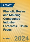 Phenolic Resins and Molding Compounds Industry Forecasts - China Focus- Product Image