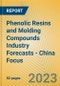 Phenolic Resins and Molding Compounds Industry Forecasts - China Focus - Product Image
