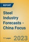 Steel Industry Forecasts - China Focus - Product Image