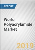 World Polyacrylamide Market - Opportunities and Forecasts, 2017 - 2023- Product Image