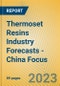 Thermoset Resins Industry Forecasts - China Focus - Product Thumbnail Image