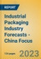 Industrial Packaging Industry Forecasts - China Focus - Product Image
